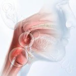 ������� ��������� � ��������