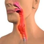 ������ ��������: �������